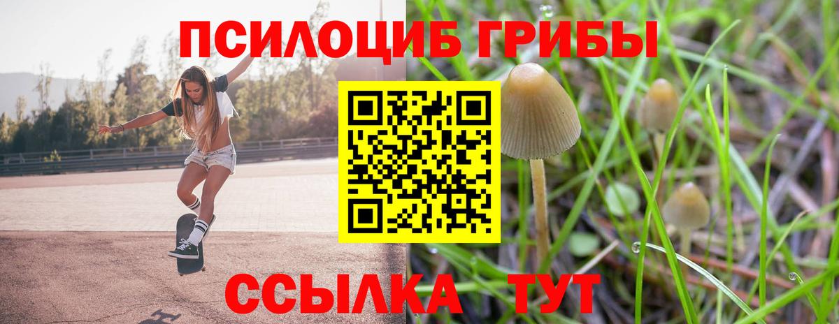 Псилоцибиновые грибы мухоморы Богородск