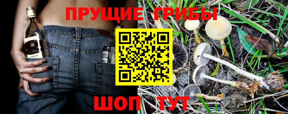 Псилоцибиновые грибы MAGIC MUSHROOMS  Вход с VPN  Богородск 